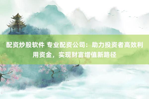 配资炒股软件 专业配资公司：助力投资者高效利用资金，实现财富增值新路径